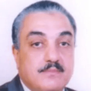 Tarek Mohamed Kamal Mohamed